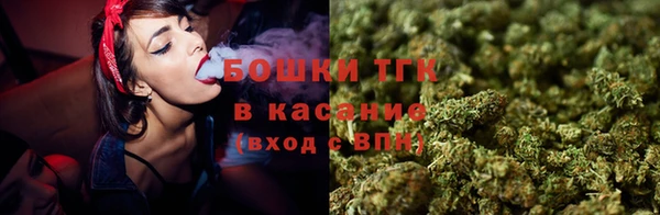 прущий лед Алексин