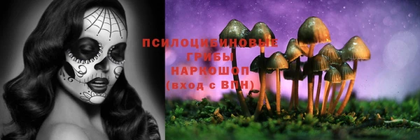 соль ск Алексеевка