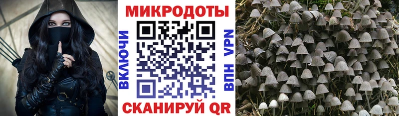 hydra как зайти  Харовск  Псилоцибиновые грибы ЛСД 